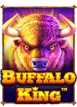 dg casino ดี ไหม? รู้จักกันก่อนตัดสินใจเล่น